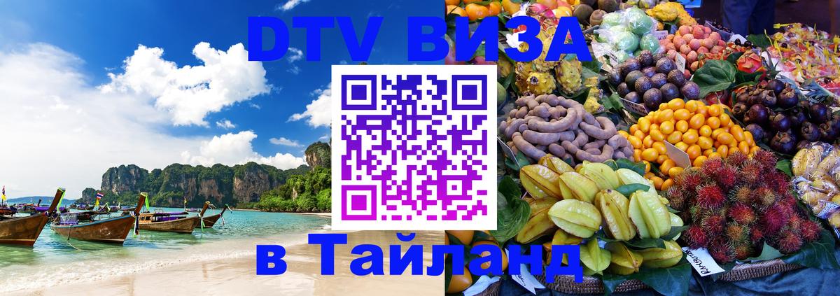 Оформление DTV визы под ключ: стоимость и тарифы, только загранпаспорт - Кызыл  20.11.2025 